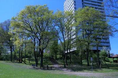 Ein Garten an der Unterkunft Panoramic App A10-5