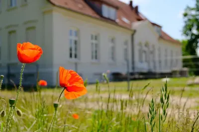Ein Garten an der Unterkunft Gutshaus KVH FeWo Priwall