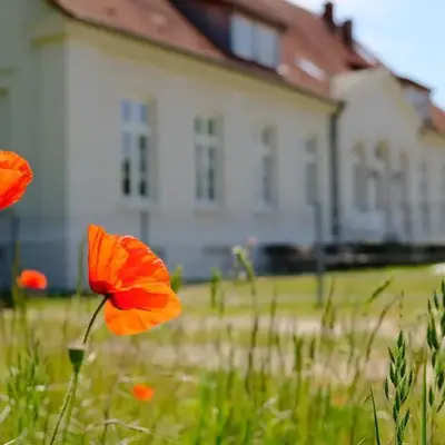 Gutshaus KVH FeWo Warnemünde
