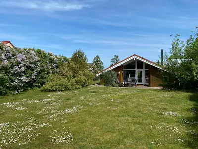 Ein Garten an der Unterkunft Timmenhus - Ferienhäuser am Feldrand