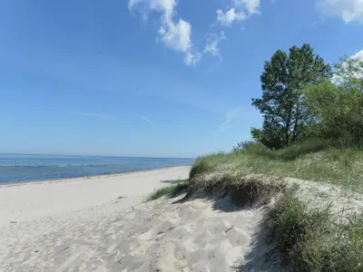 Naturlandschaft in der Nähe der Ferienwohnung