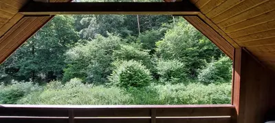Ein Garten an der Unterkunft Scharbeutz Waldblick