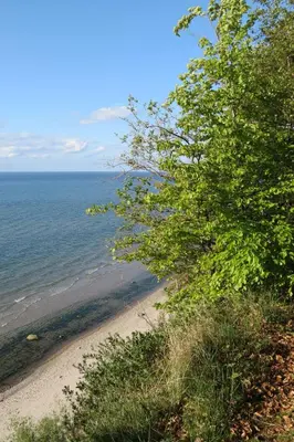 Naturlandschaft in der Nähe der Ferienwohnung