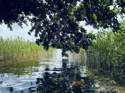 Naturlandschaft in der Nähe der Ferienwohnung