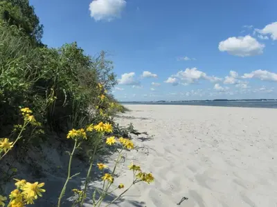 Naturlandschaft in der Nähe der Ferienwohnung