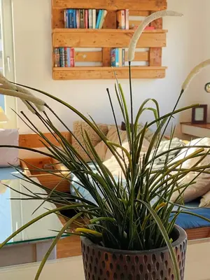 Die Bibliothek in der Ferienwohnung