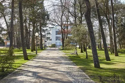 Ein Garten an der Unterkunft Modernes Ostsee Luxus-Penthouse Meerblick