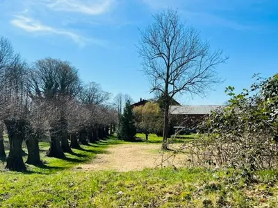 Ein Garten an der Unterkunft Glasauer Kutscherhaus