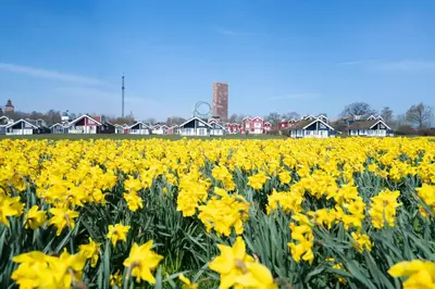 Grundriss der Unterkunft Strandpark Sierksdorf H051