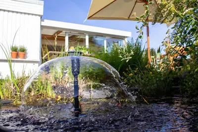 Ein Garten an der Unterkunft Ferienhaus Kleine Freiheit am Badesee