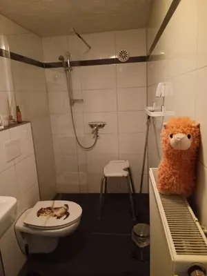 Ein Badezimmer in der Unterkunft Sonnenscheinhof Alpakas, Ferienwohnung
