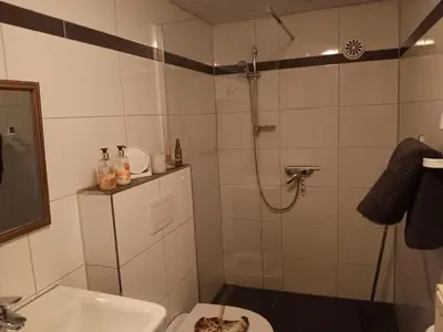 Ein Badezimmer in der Unterkunft Sonnenscheinhof Alpakas, Ferienwohnung