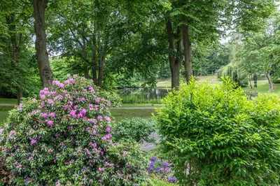 Ein Garten an der Unterkunft Fallreep, Fewo 148