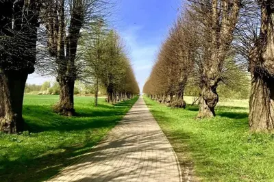 Naturlandschaft in der Nähe des Ferienhauses