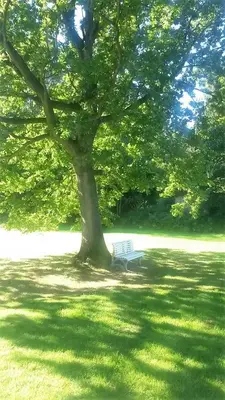 Ein Garten an der Unterkunft Haus am Wald Klingberg