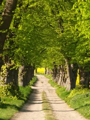 Naturlandschaft in der Nähe der Villa
