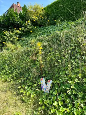 Ein Garten an der Unterkunft Pier 76