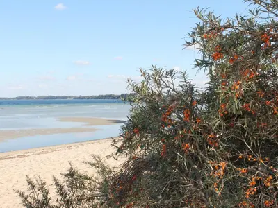 Naturlandschaft in der Nähe des Ferienhauses