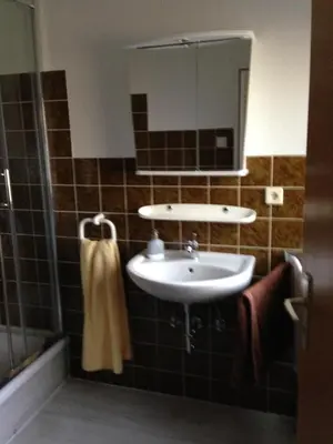 Ein Badezimmer in der Unterkunft Am Bach