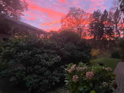 Ein Garten an der Unterkunft Waldblick