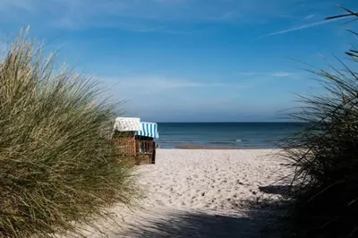 Naturlandschaft in der Nähe der Ferienwohnung