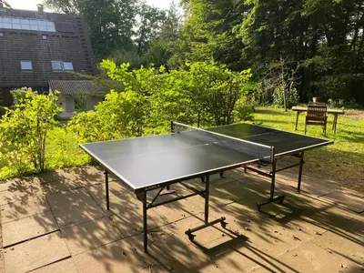 Tischtennis in der Unterkunft Triangel oder in der Nähe