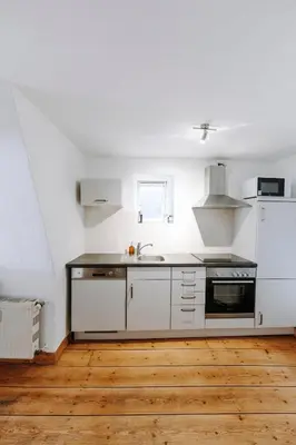 Küche/Küchenzeile in der Unterkunft Apartments Fleischhauerstraße