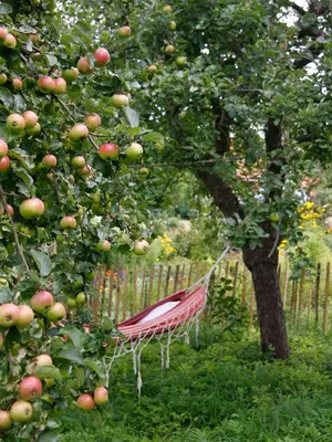 Ein Garten an der Unterkunft Hotel Lili Marleen