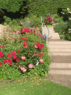 Ein Garten an der Unterkunft Ferienzimmer am See
