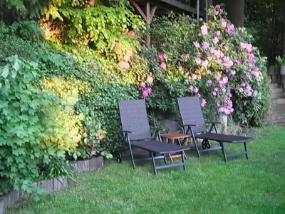 Ein Garten an der Unterkunft 1-Zimmer Apartment