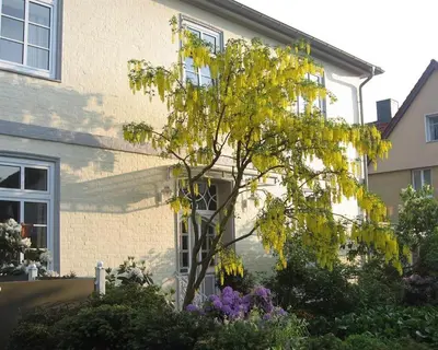 Ein Garten an der Unterkunft Altes Schulhaus