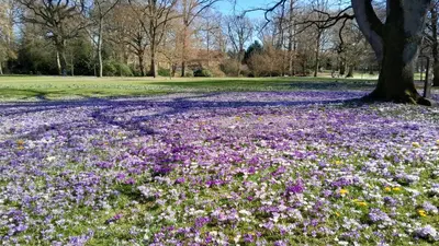 Ein Garten an der Unterkunft Pensionszimmer Melina