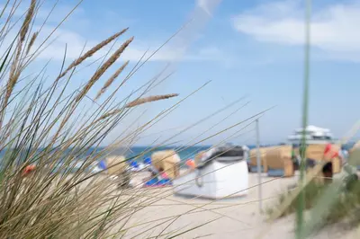 Naturlandschaft in der Nähe der Zelt-Lodge