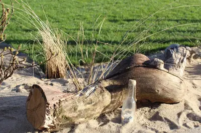 Naturlandschaft in der Nähe der Ferienwohnung