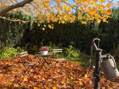 Ein Garten an der Unterkunft Haus zur Niendorfer Sonne Haus Schwalbennest