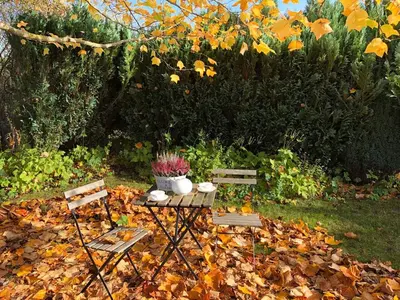 Ein Garten an der Unterkunft Haus zur Niendorfer Sonne Haus Schwalbennest