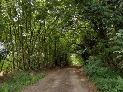 Naturlandschaft in der Nähe der Ferienwohnung
