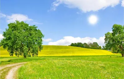 Naturlandschaft in der Nähe des Ferienhauses