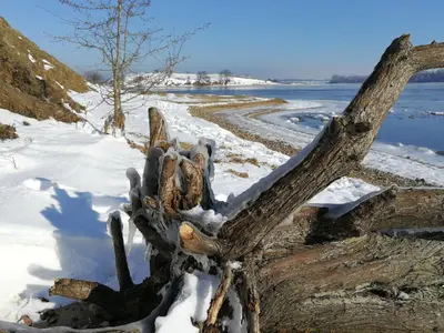 Naturlandschaft in der Nähe des Bootes