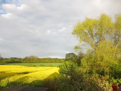 Naturlandschaft in der Nähe des Ferienhauses