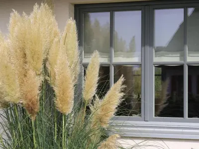 Ein Garten an der Unterkunft Das Reethaus