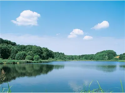 Naturlandschaft in der Nähe der Ferienwohnung